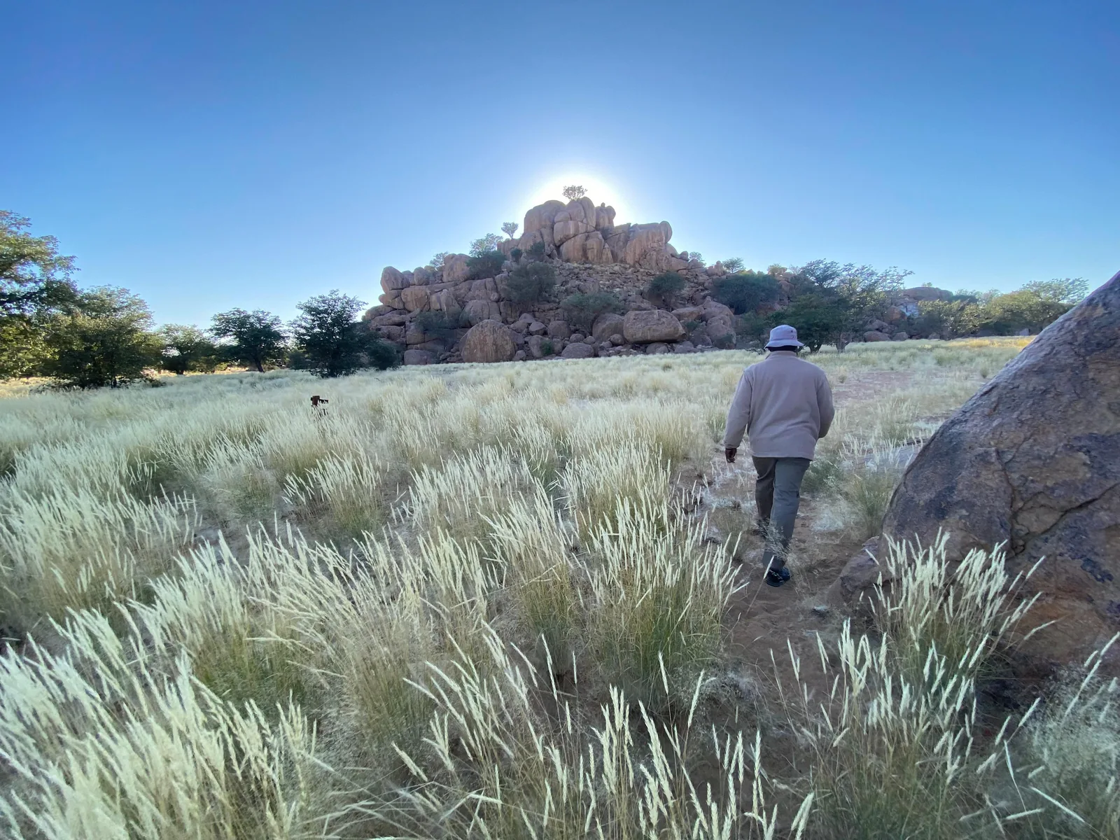A guide leading guests through grass and granite outcrops near Madisa.