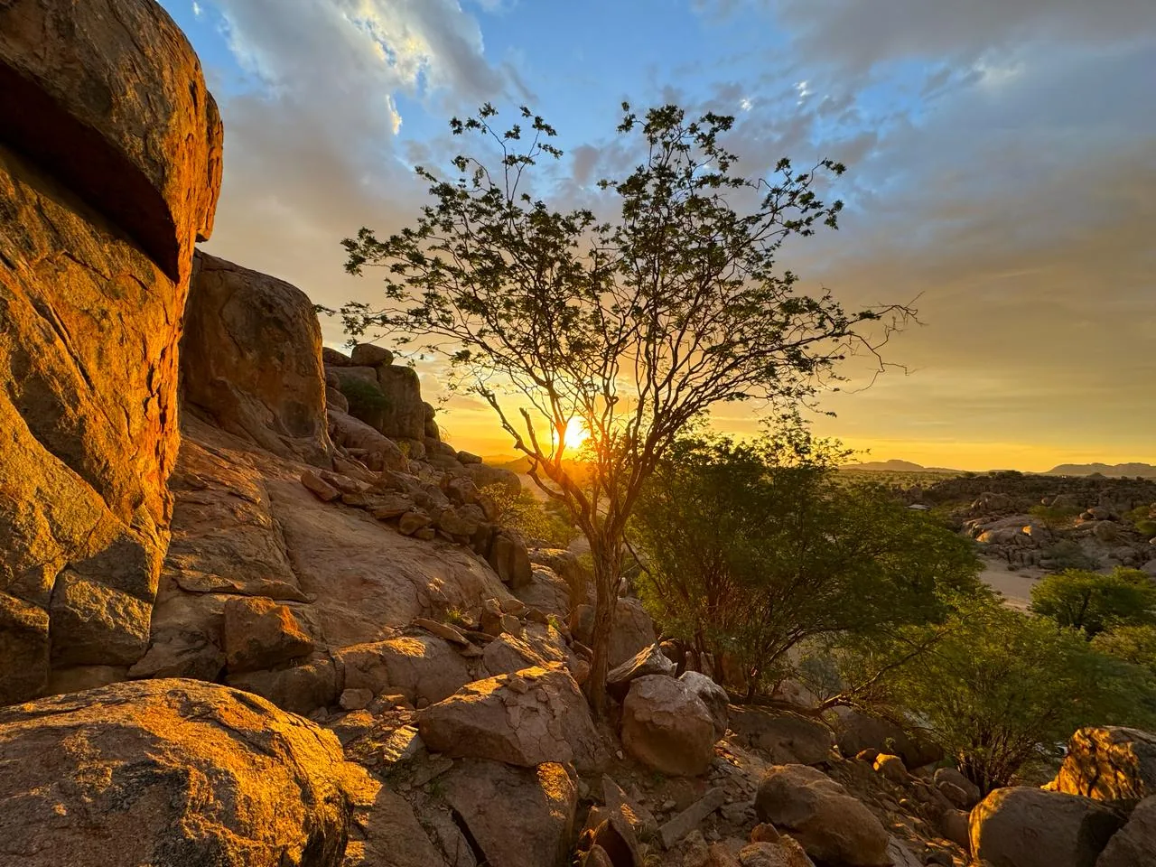 Sunset light shining through a tree beside granite rocks near Madisa.