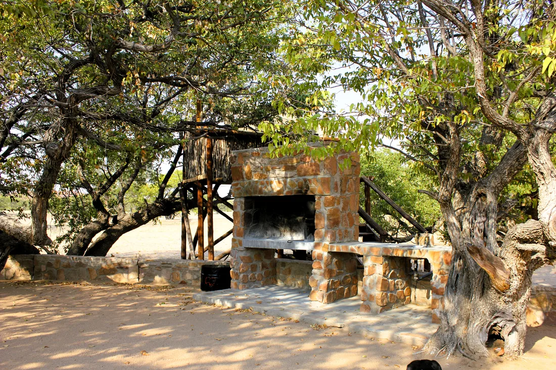 A private campsite braai area beneath Mopane trees at Madisa.